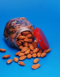 food grade food packaging plastic jar	food packaging plastic	food packaging plastic jar	empty food packaging plastic
